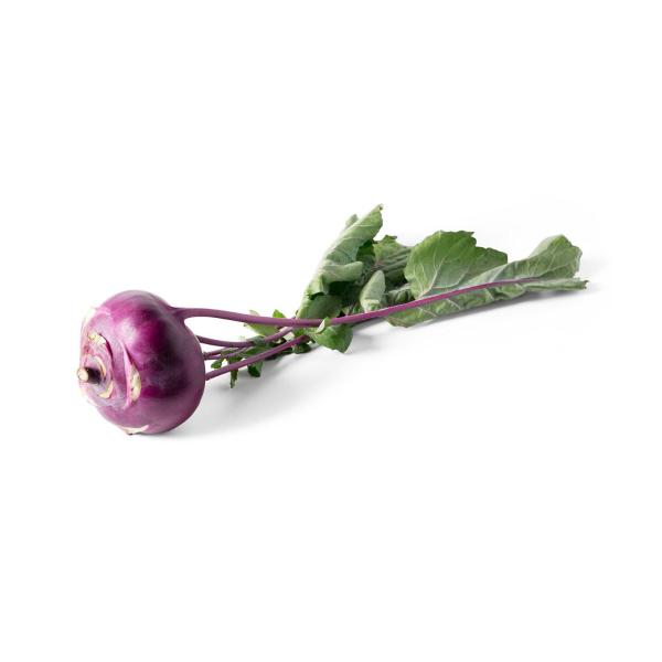 Purple Kohlrabi