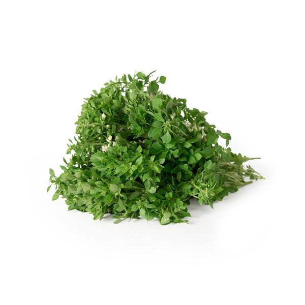 Natoora Greek Basil | 1 Each