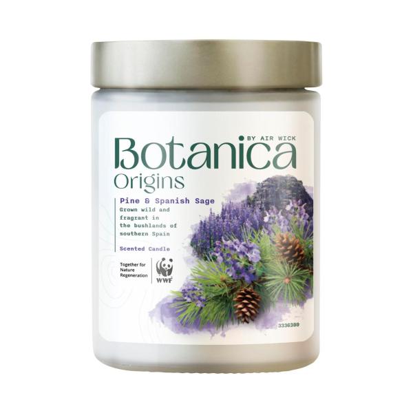 Botanica Origins Scented Candle Pine & Spanish Sage | 1 Each – Coles