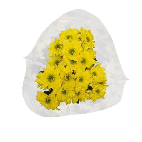 Bunch Chrysanthemum Yellow