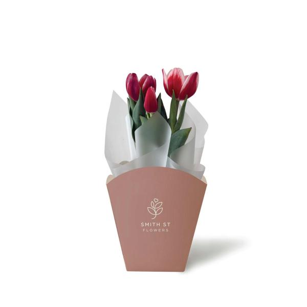 Potted Tulips