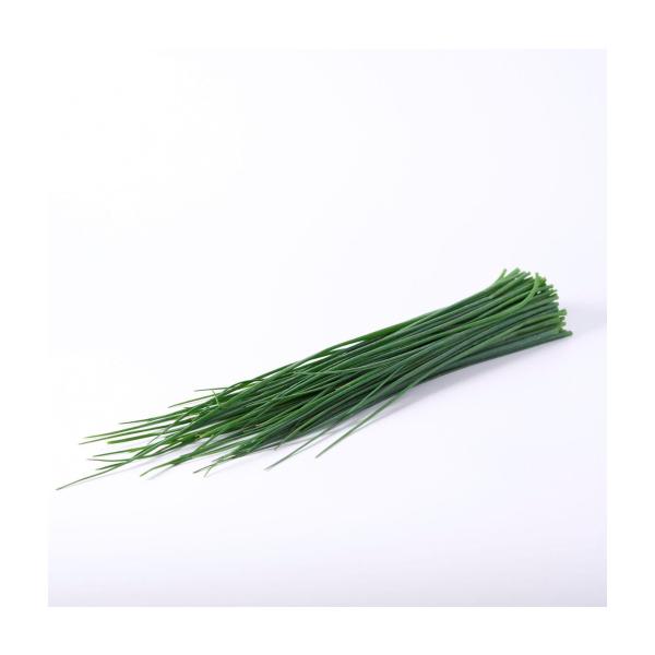 Chives Bunch