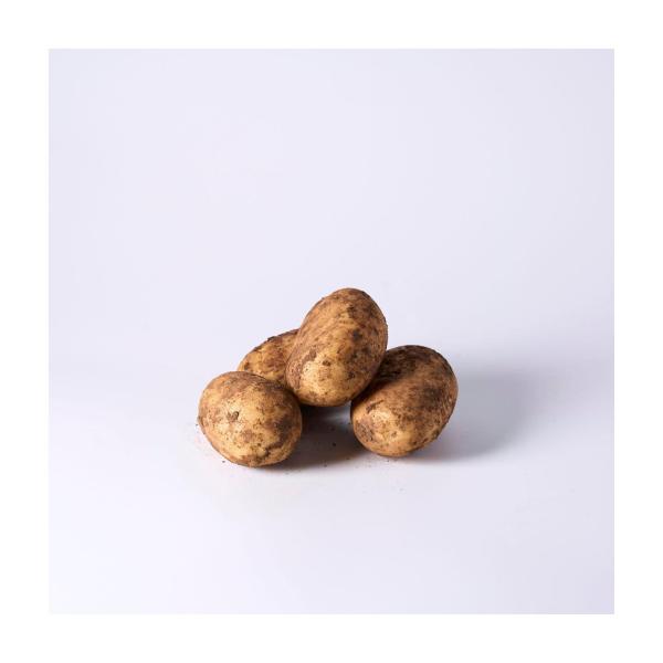 Organic Dutch Cream Potatoes