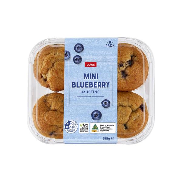 Blueberry Muffins 9 Pack