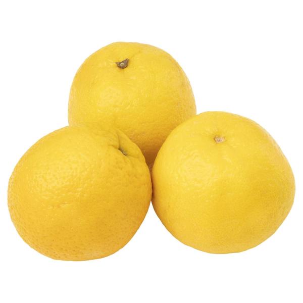 Valencia Oranges Medium