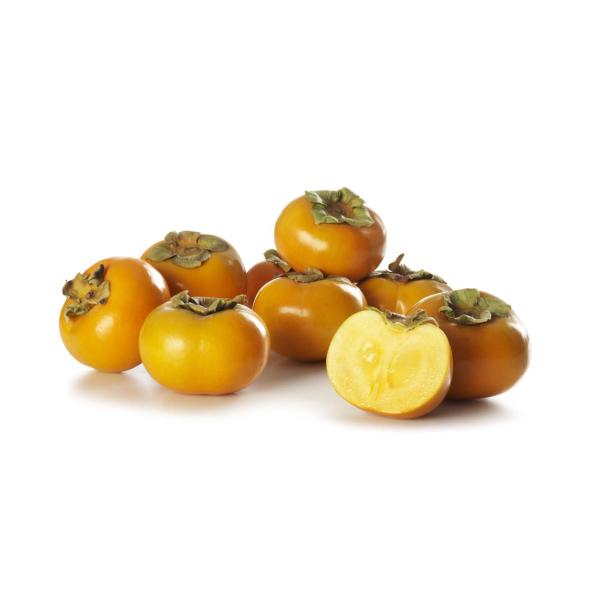 Persimmons Medium