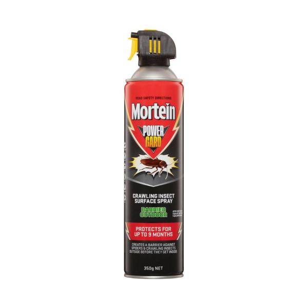 Mortein Kill & Protect Barrier Surface Spray Outdoor 350g product image