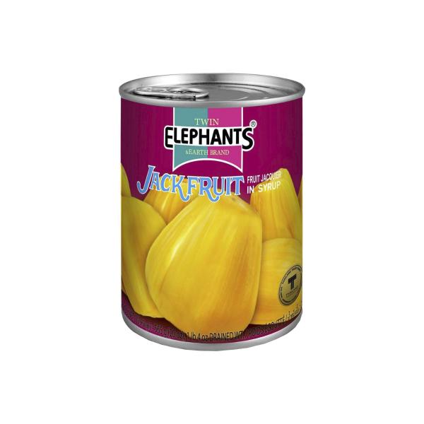 Buy Twin Elephants Jackfruit In Syrup 565g Coles