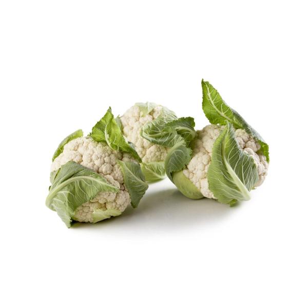 Cauliflower Medium