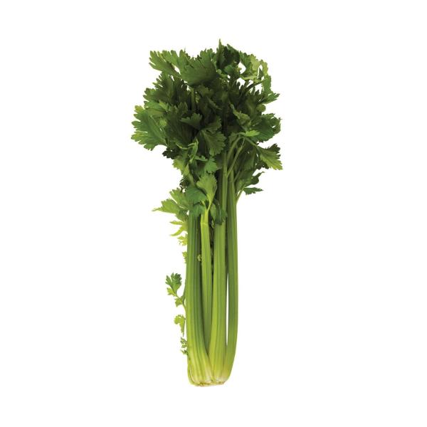 Celery Bunch
