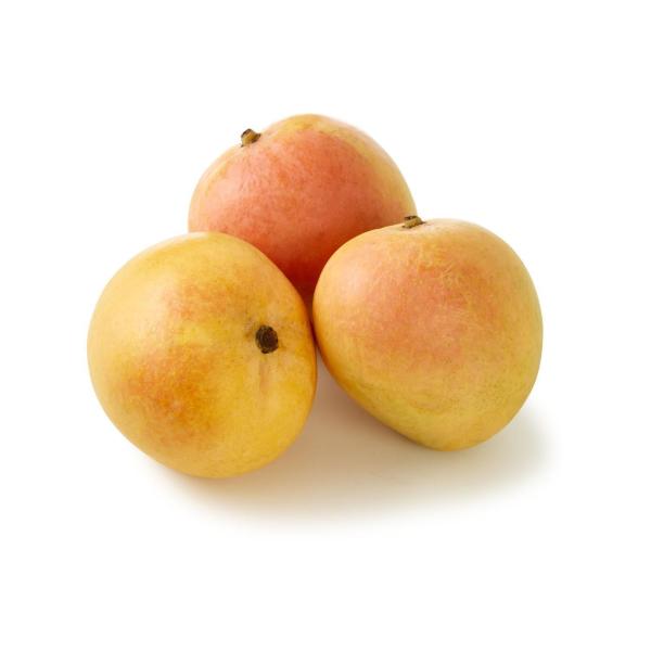 R2E2 Mangoes