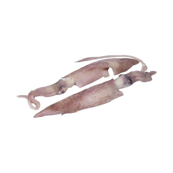 THAWED RAW WHOLE GULF SQUID