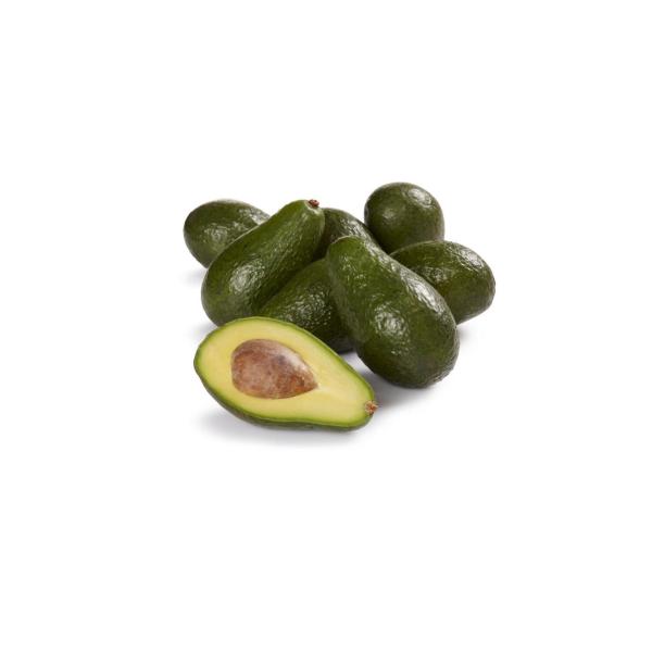 Shepard Avocados