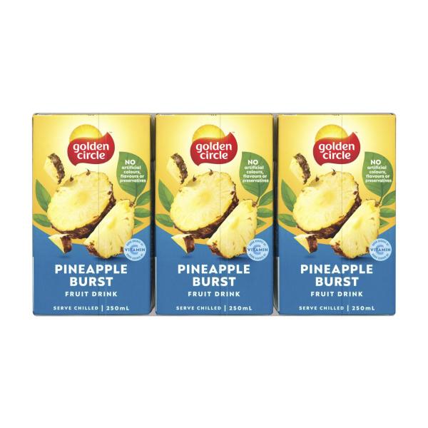 Fruit Drink Pineapple Burst 250ml