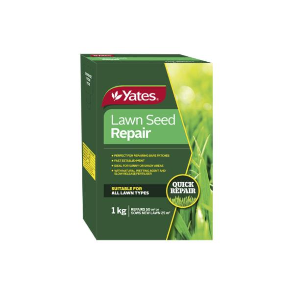 Lawn Seed Lawn Patch Repair Seed