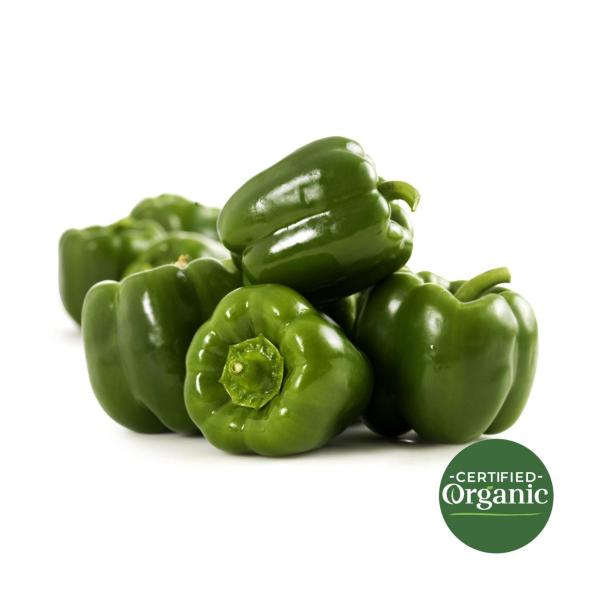 ORGANIC GREEN CAPSICUM