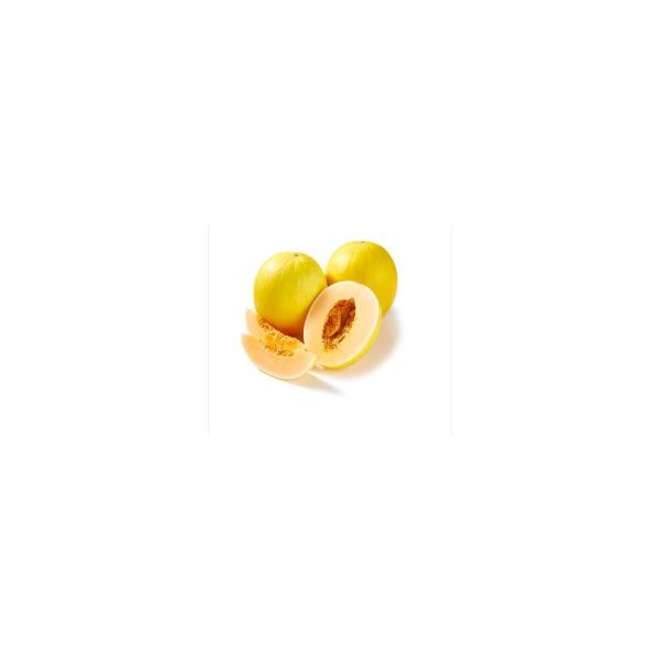 Sunshine Melon