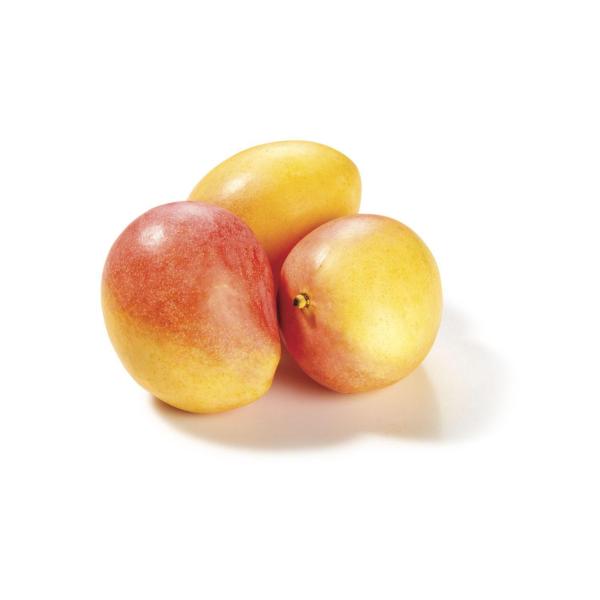 Medium Calypso Mangoes