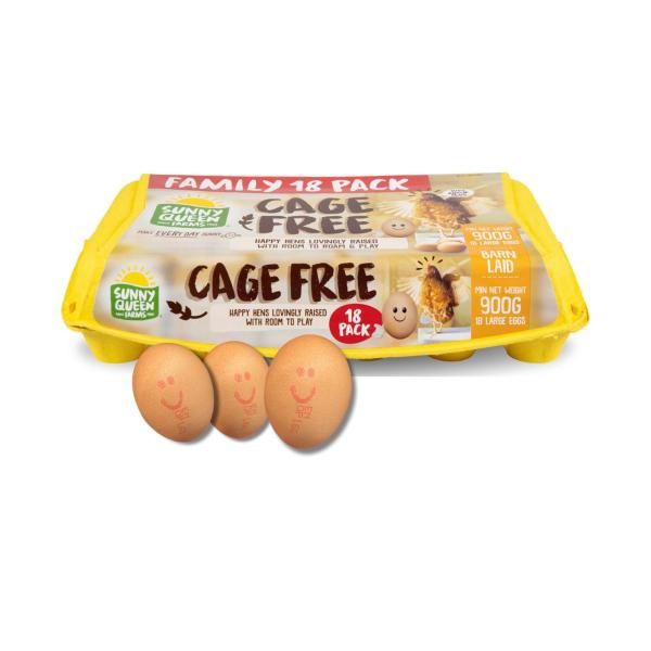 Cage Free Large Eggs 18 Pack